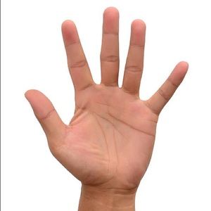 Meet your Posher, Steven